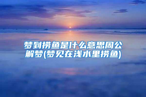 梦到捞鱼是什么意思周公解梦(梦见在浅水里捞鱼)