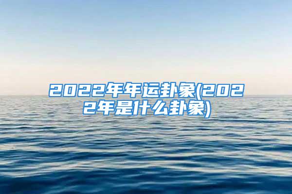 2022年年运卦象(2022年是什么卦象)