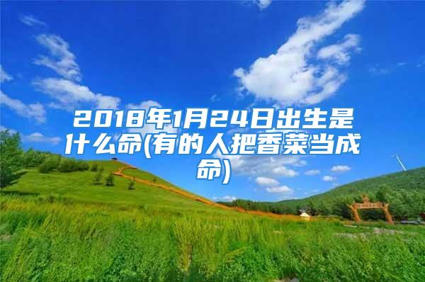 2018年1月24日出生是什么命(有的人把香菜当成命)