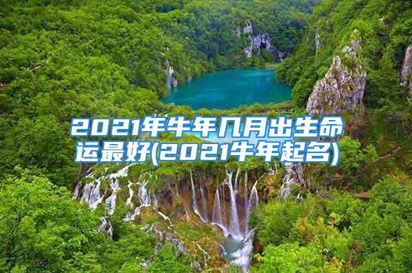 2021年牛年几月出生命运最好(2021牛年起名)