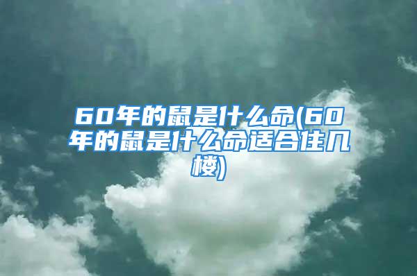 60年的鼠是什么命(60年的鼠是什么命适合住几楼)