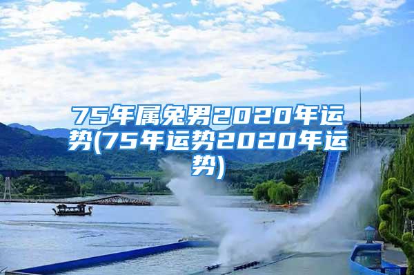 75年属兔男2020年运势(75年运势2020年运势)