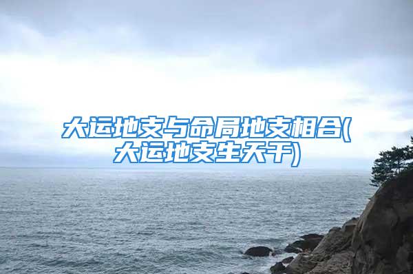 大运地支与命局地支相合(大运地支生天干)