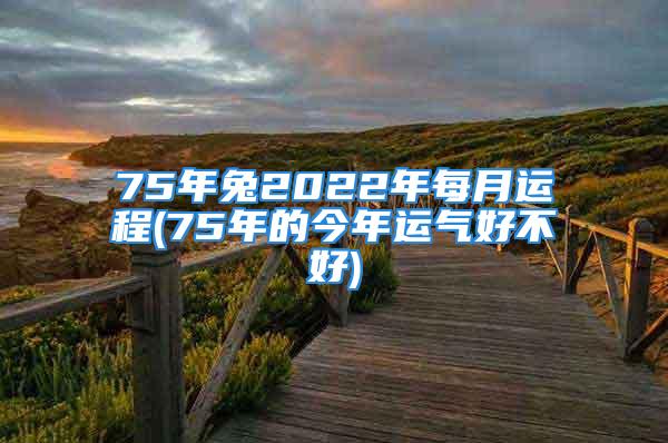 75年兔2022年每月运程(75年的今年运气好不好)