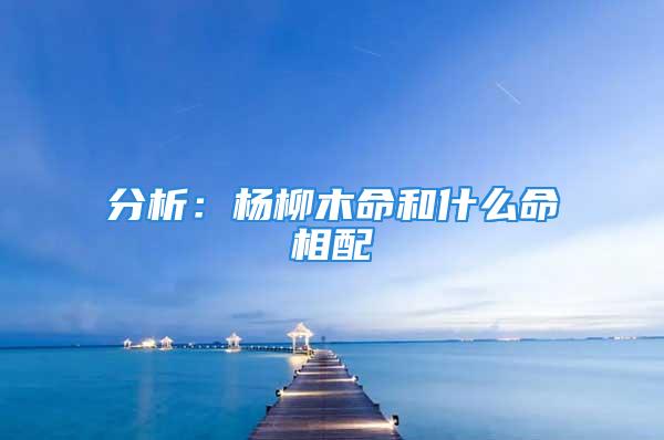 分析：杨柳木命和什么命相配