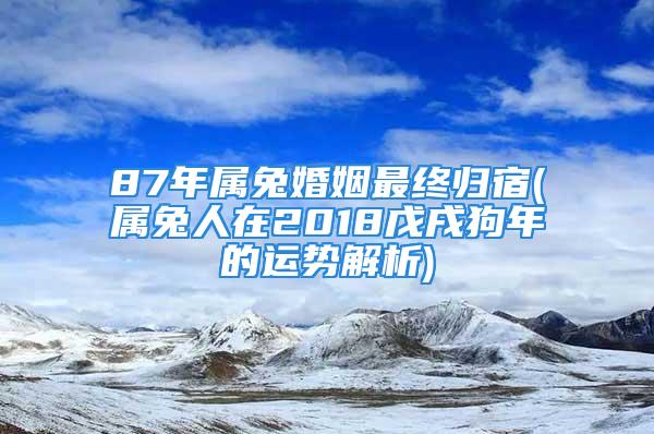 87年属兔婚姻最终归宿(属兔人在2018戊戌狗年的运势解析)