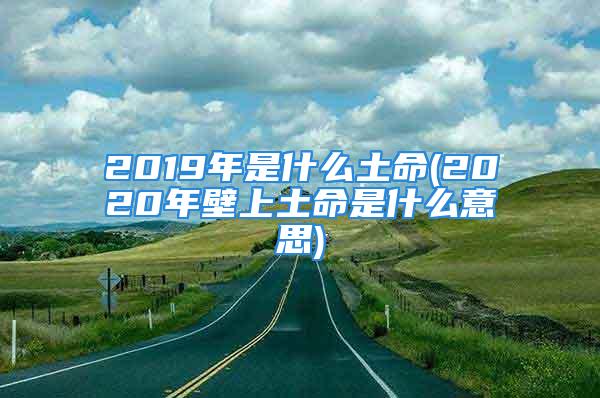 2019年是什么土命(2020年壁上土命是什么意思)