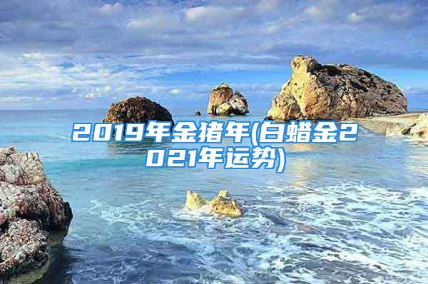 2019年金猪年(白蜡金2021年运势)