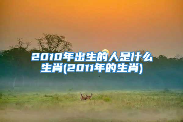 2010年出生的人是什么生肖(2011年的生肖)