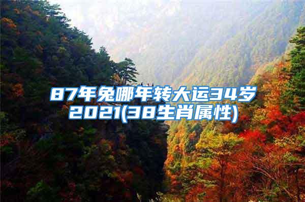 87年兔哪年转大运34岁2021(38生肖属性)