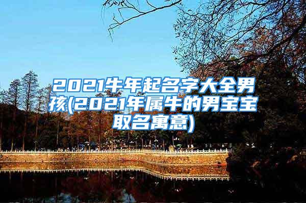 2021牛年起名字大全男孩(2021年属牛的男宝宝取名寓意)