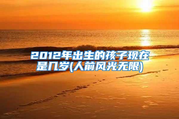 2012年出生的孩子现在是几岁(人前风光无限)