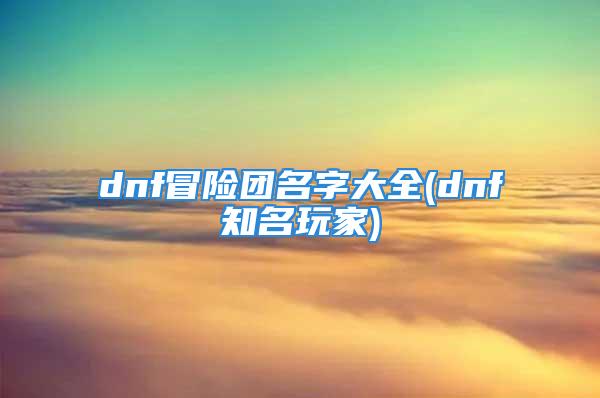 dnf冒险团名字大全(dnf知名玩家)