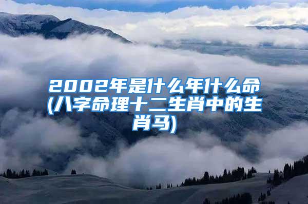 2002年是什么年什么命(八字命理十二生肖中的生肖马)