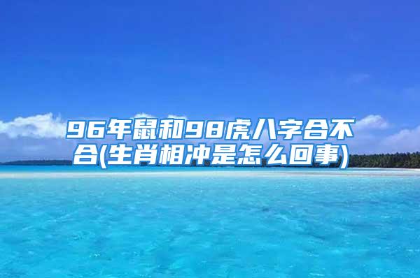 96年鼠和98虎八字合不合(生肖相冲是怎么回事)