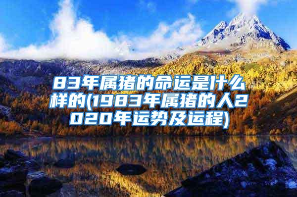 83年属猪的命运是什么样的(1983年属猪的人2020年运势及运程)