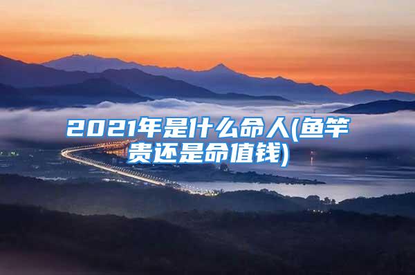 2021年是什么命人(鱼竿贵还是命值钱)