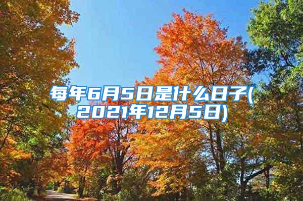 每年6月5日是什么日子(2021年12月5日)