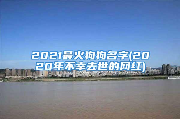 2021最火狗狗名字(2020年不幸去世的网红)