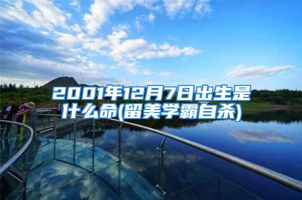 2001年12月7日出生是什么命(留美学霸自杀)