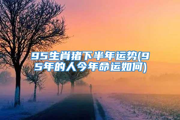 95生肖猪下半年运势(95年的人今年命运如何)