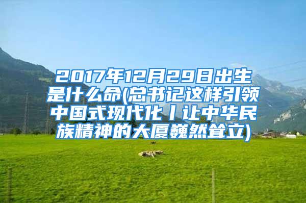 2017年12月29日出生是什么命(总书记这样引领中国式现代化丨让中华民族精神的大厦巍然耸立)