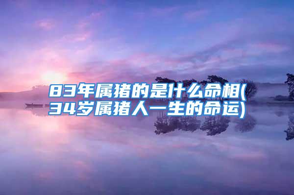 83年属猪的是什么命相(34岁属猪人一生的命运)