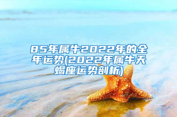 85年属牛2022年的全年运势(2022年属牛天蝎座运势剖析)