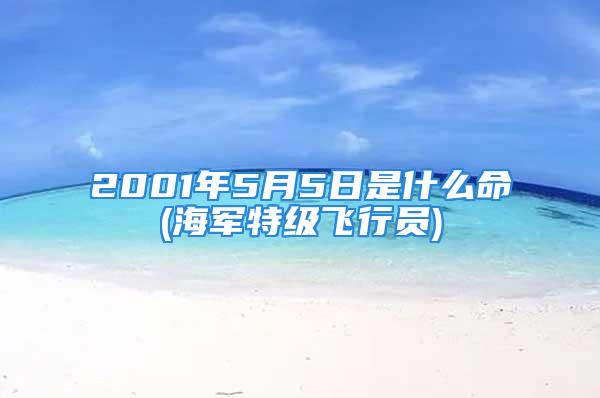 2001年5月5日是什么命(海军特级飞行员)