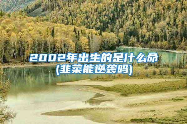 2002年出生的是什么命(韭菜能逆袭吗)