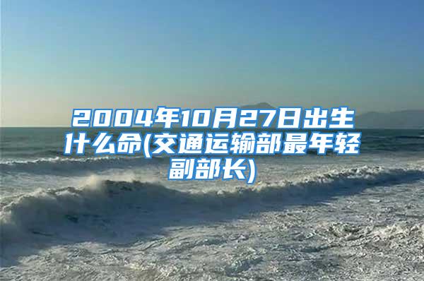 2004年10月27日出生什么命(交通运输部最年轻副部长)