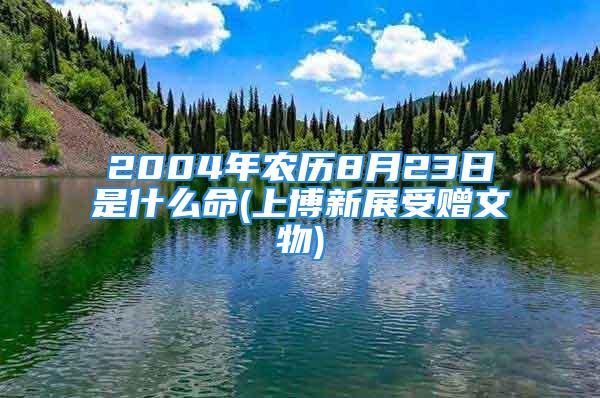 2004年农历8月23日是什么命(上博新展受赠文物)