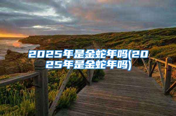 2025年是金蛇年吗(2025年是金蛇年吗)