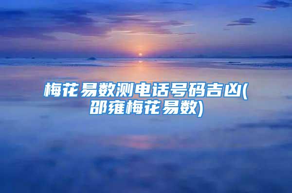 梅花易数测电话号码吉凶(邵雍梅花易数)