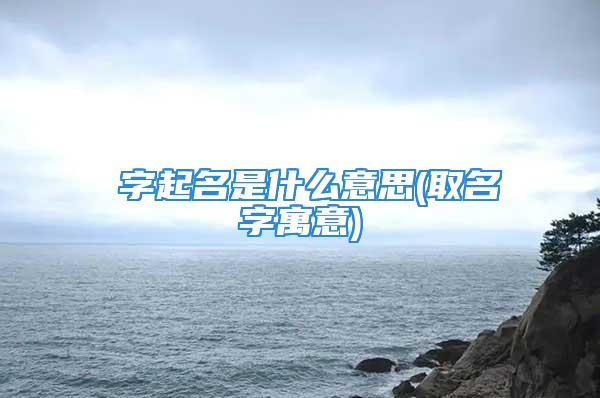 宬字起名是什么意思(取名字寓意)