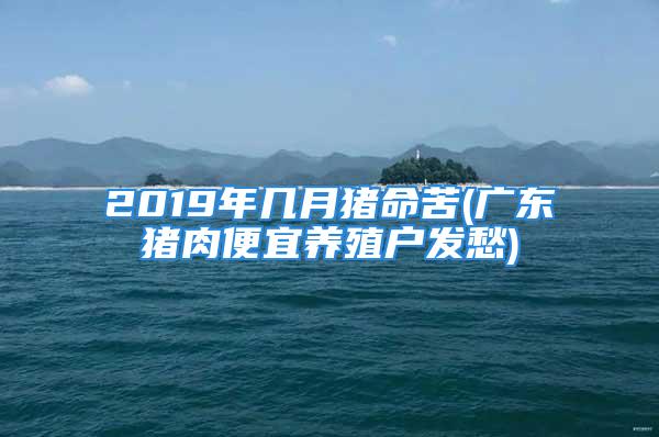 2019年几月猪命苦(广东猪肉便宜养殖户发愁)