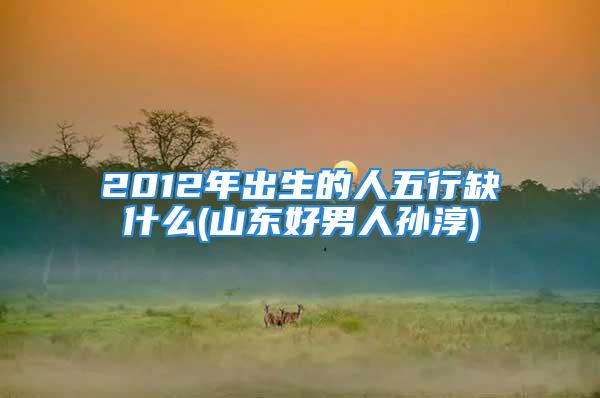 2012年出生的人五行缺什么(山东好男人孙淳)