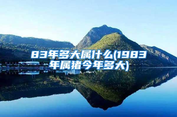 83年多大属什么(1983年属猪今年多大)