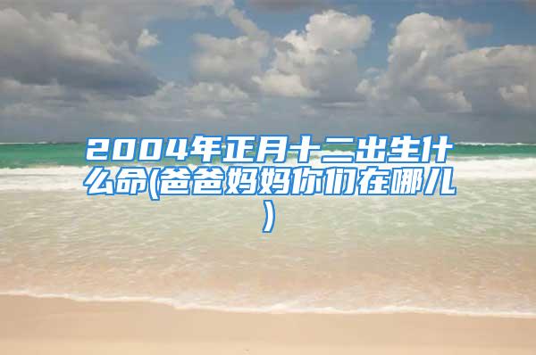 2004年正月十二出生什么命(爸爸妈妈你们在哪儿)