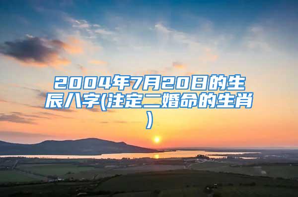 2004年7月20日的生辰八字(注定二婚命的生肖)