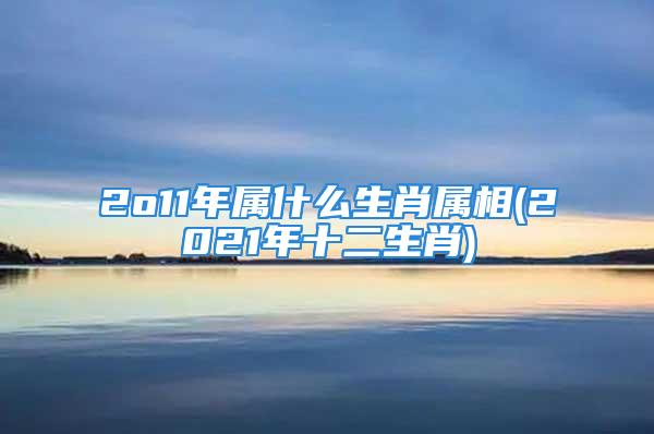 2o11年属什么生肖属相(2021年十二生肖)