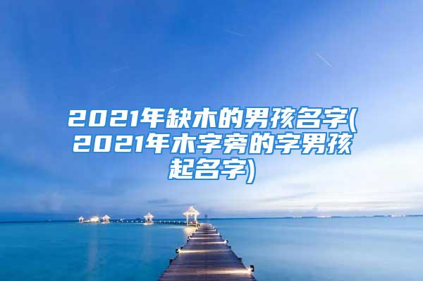 2021年缺木的男孩名字(2021年木字旁的字男孩起名字)