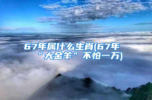 67年属什么生肖(67年“大金羊”不怕一万)