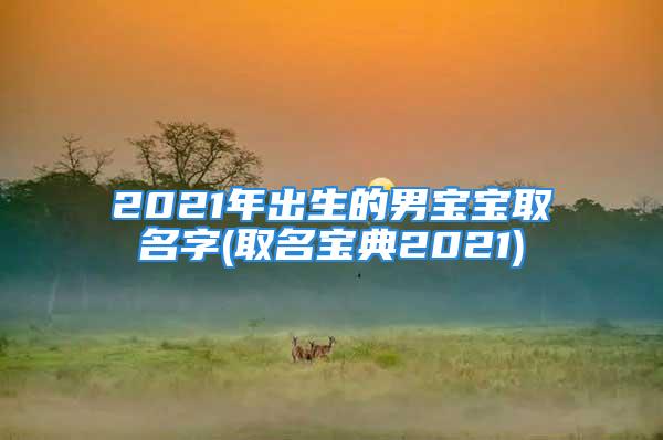 2021年出生的男宝宝取名字(取名宝典2021)