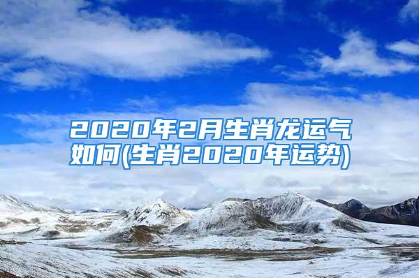 2020年2月生肖龙运气如何(生肖2020年运势)