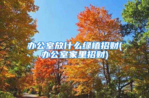 办公室放什么绿植招财(办公室家里招财)