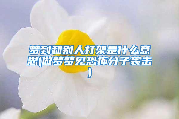 梦到和别人打架是什么意思(做梦梦见恐怖分子袭击)