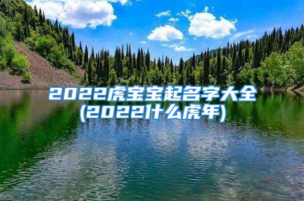 2022虎宝宝起名字大全(2022什么虎年)