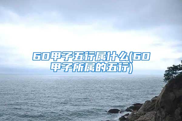 60甲子五行属什么(60甲子所属的五行)