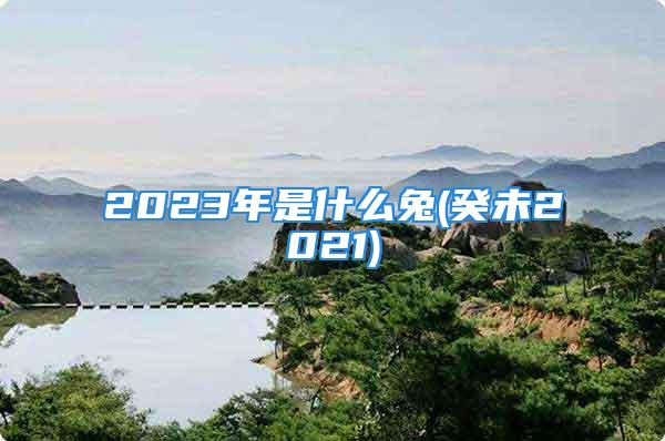 2023年是什么兔(癸未2021)